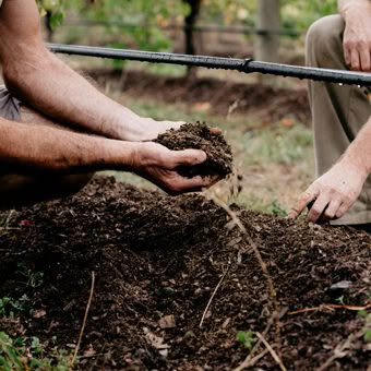 Sustainability